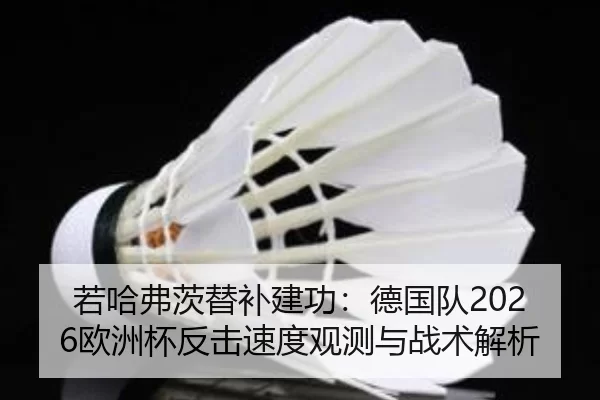 ruo-ha-fu-ci-ti-bu-jian-gong-de-guo-dui-ou-zhou-bei-fan-ji-su-du-guan-ce-yu-zhan-shu-jie-xi-2-524.jpg